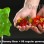 Giant Gummy Bears the best invention ever?