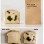 Anti-theft lunch bags