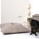 The Greatest List of Must-Have Pet Gadgets