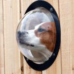 The Greatest List of Must-Have Pet Gadgets