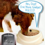 The Greatest List of Must-Have Pet Gadgets