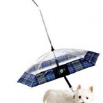 The Greatest List of Must-Have Pet Gadgets