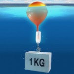 The best keychain for skippers saves your stuff from drowning