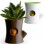 How about a plant that waters itself?