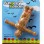 When you're feeling a little down get a backyard Bungee Bird Feeder