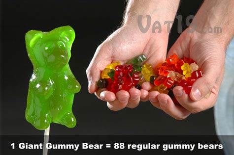 giant-gummy-bear-versus-regular-gummy-bears