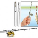 Catch fish with a pen fishing rod