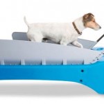 Let your dog keep its new years resolutions with the doggy treadmill