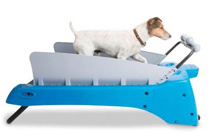 Doggy Treadmill