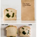 Anti-theft lunch bags