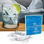 The Greatest List of The Coolest Ice Cubes around