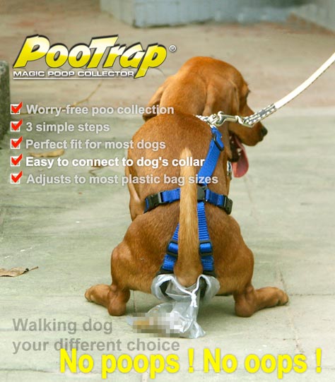 pootrap