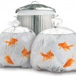 One persons trash is another mans Goldfish Garbage Bag