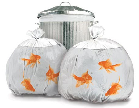 goldfish-garbage-bags