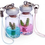 Mini Pet Cactus is a pet in your pocket