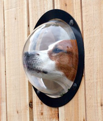 pet-observation-porthole