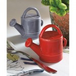 Perfect for gardners, the watering can salt and pepper shakers