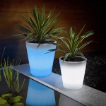 Solar pots will grow by day and glow by night
