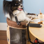 For that upper-class doggy, it’s a Pet High-Chair