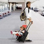 Carry-on luggage you can ride on
