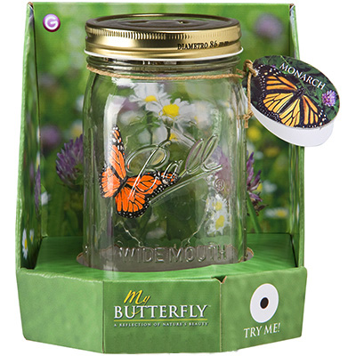 One More Gadget - My Butterfly Packaging