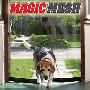 Dog and Magic Mesh