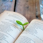 Some of the best gadgets are teeny, like the little sprout bookmark