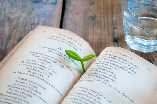 Sprout Bookmark