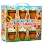 Plant some ingredients and watch them grow, it’s the Blooming Cupcakes Baking Kit