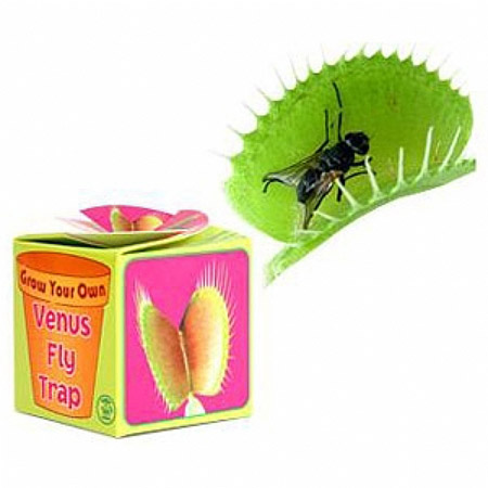 Venus Fly Trap Growing Kit