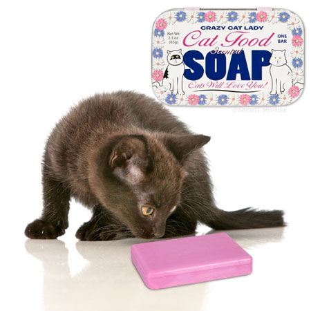 Cat Food Scented Soap